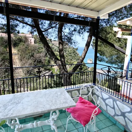 Oriente فيكو إيكوينس